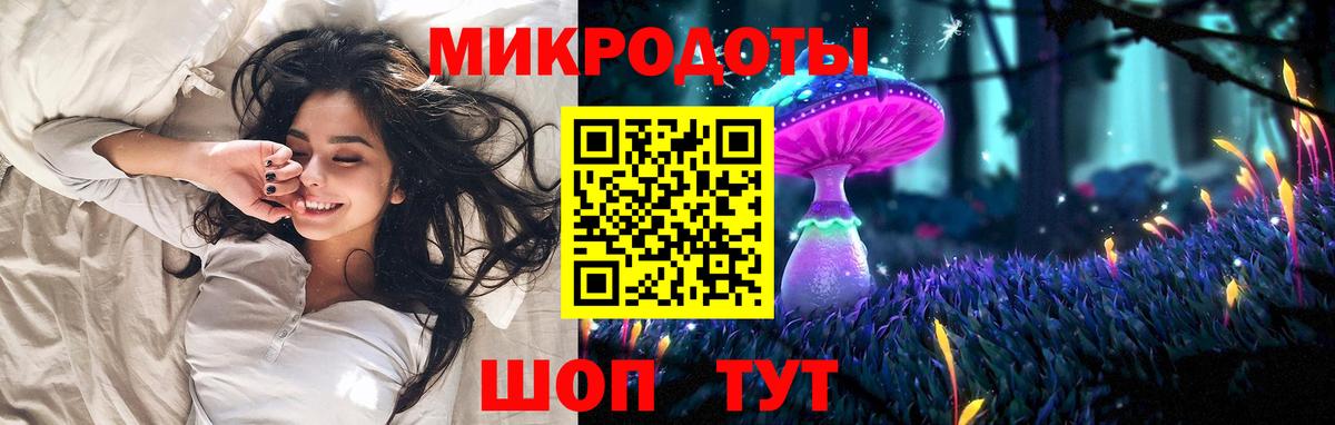 Галлюциногенные грибы Psilocybe Скопин